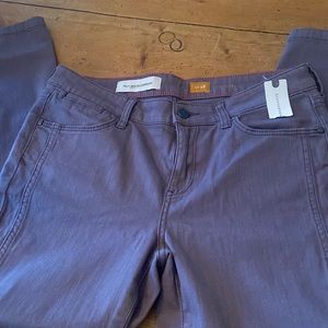 New with Tags Pilcro Stet pants